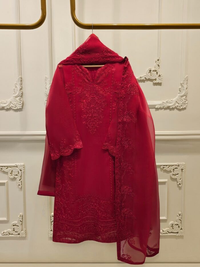 Agha Noor Inspired D31 - Image 1